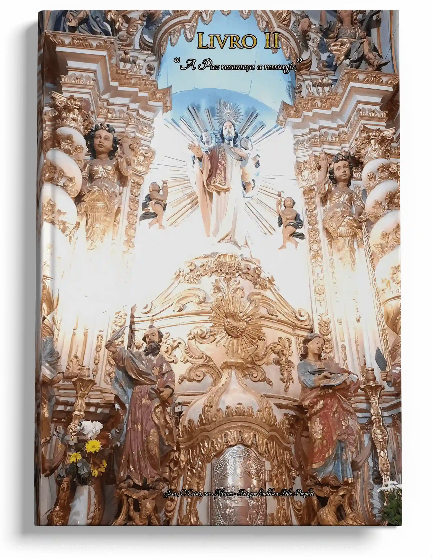 QUEM SOMOS NÓS VOL. I, LIVRO II Mockup